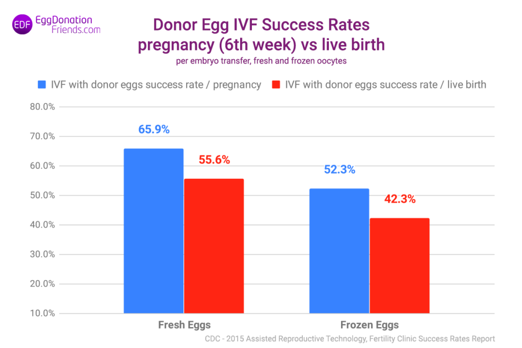 IVF with egg donor – success rate of transfers with fresh and frozen eggs