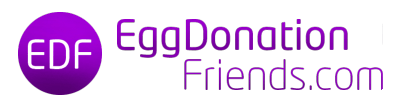 IVF donor eggs abroad