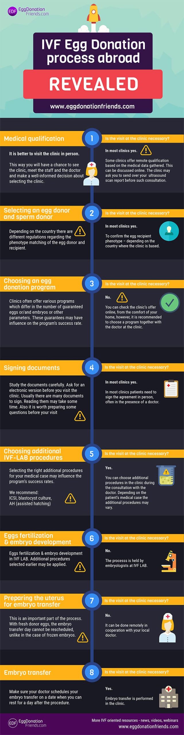 IVF Egg Donation Process Abroad Revealed Egg donation procedure pros and cons